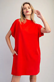 Bria Solid Color Mock Neck Knit Mini Dress