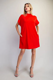 Bria Solid Color Mock Neck Knit Mini Dress