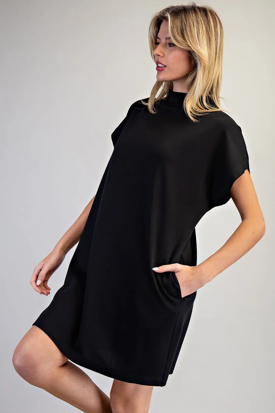 Bria Solid Color Mock Neck Knit Mini Dress