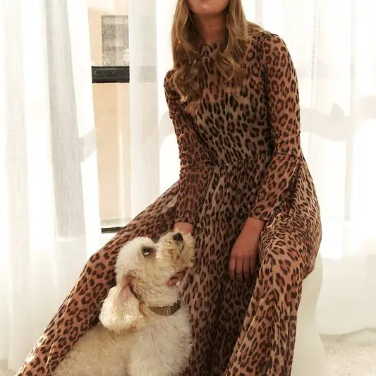 Leona Leopard Print Mesh Maxi Dress