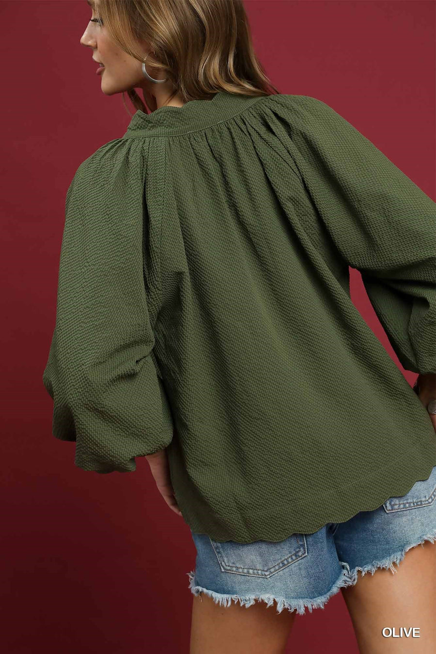 LaShea Puff Sleeve V-Neck Textured Blouse Top