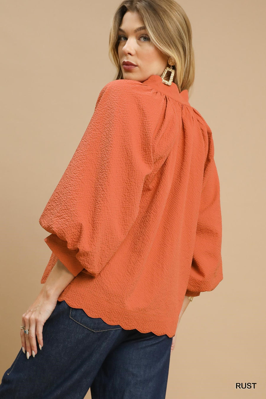 LaShea Puff Sleeve V-Neck Textured Blouse Top