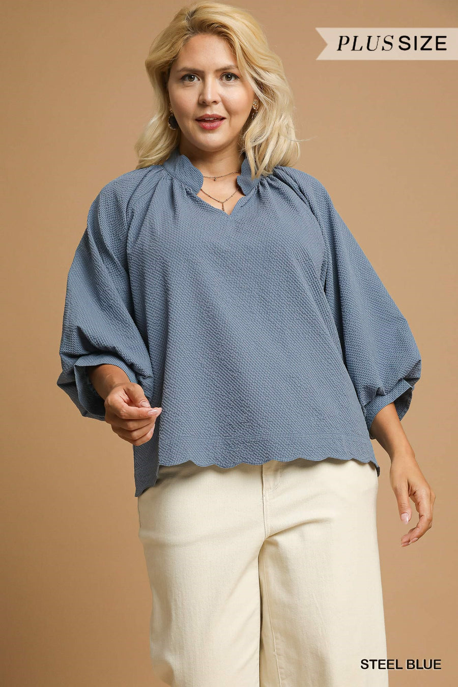 LaShea Puff Sleeve V-Neck Textured Blouse Top
