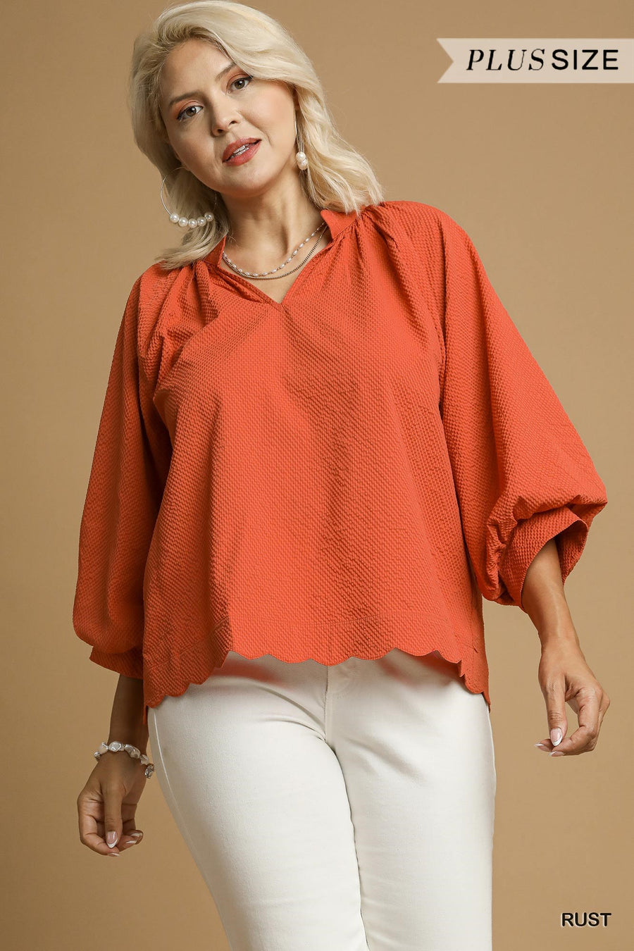 LaShea Puff Sleeve V-Neck Textured Blouse Top