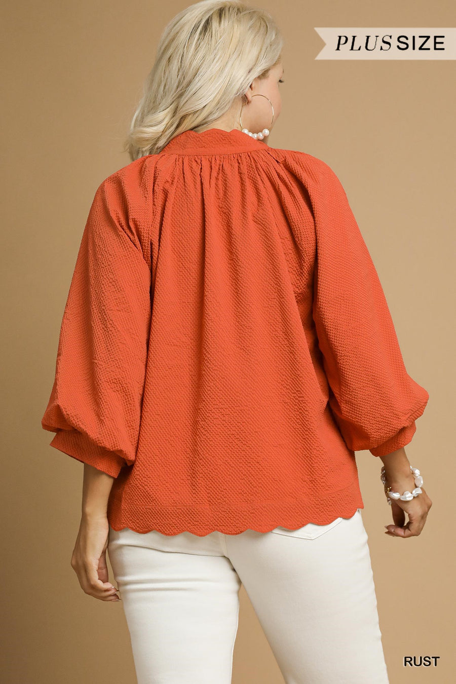LaShea Puff Sleeve V-Neck Textured Blouse Top