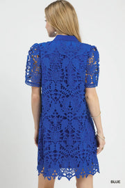 Blue Bayou Lace Overlay Mini Dress