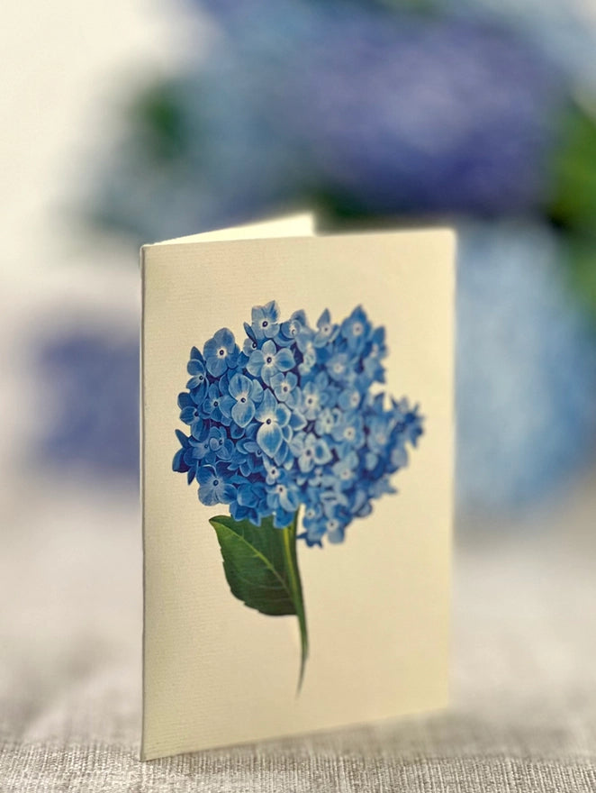 Nantucket Hydrangeas Pop Up Bouquet Card