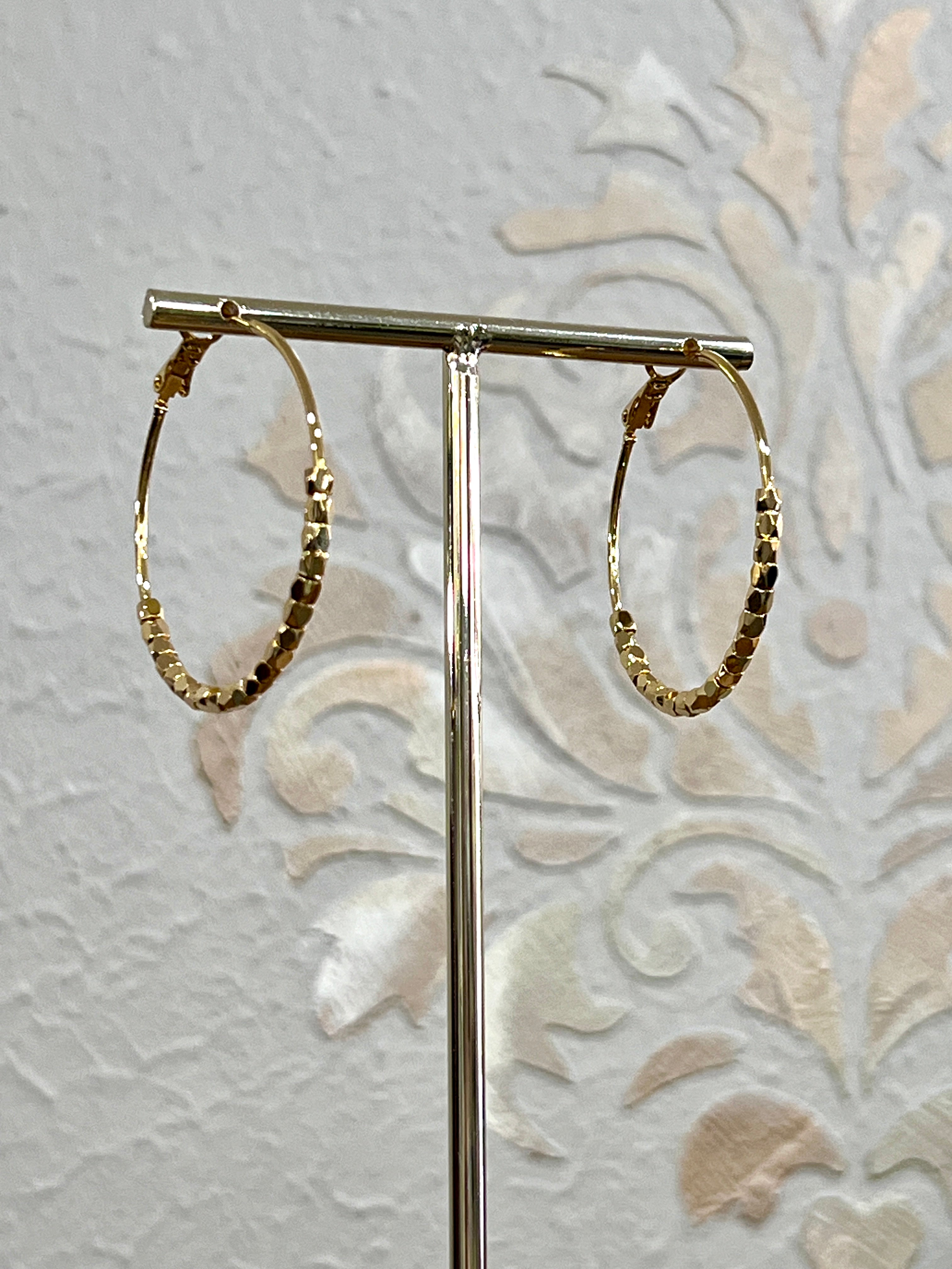 Kristen Waterproof Hoop Earrings