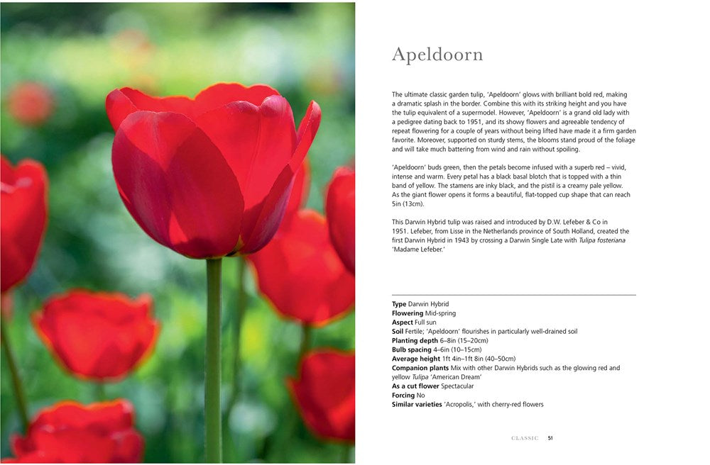 Tulips: Beautiful Varieties For Home and Garden Coffee Table Gift Book