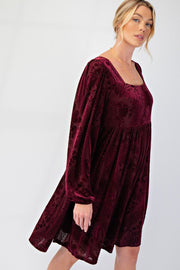 Victoria Long Sleeve Burnout Velvet Dress