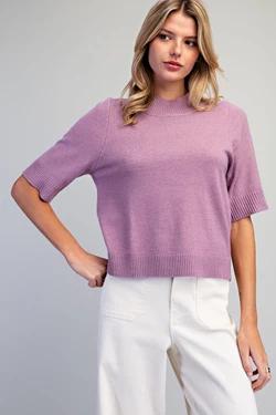 Arlene Mock Neck Solid Short Sleeve Sweater Top